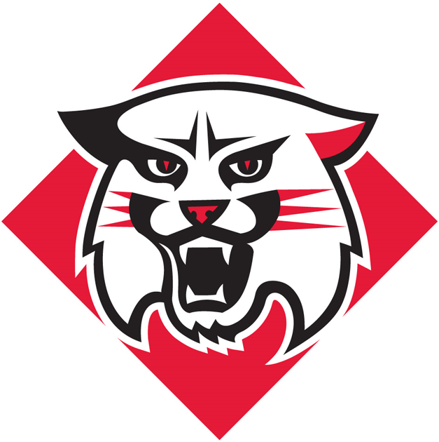 Davidson Wildcats 2010-Pres Primary Logo iron on transfers for fabric